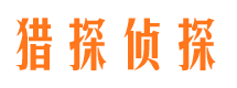 秦安市调查公司